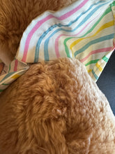 Load image into Gallery viewer, Fisher Price Happy House The Day Teddy Beddy Bear Got Lost Read Details