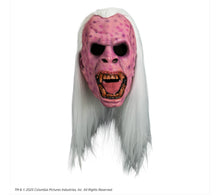 Load image into Gallery viewer, GHOSTBUSTERS - LIBRARY GHOST MASK (VINYL)