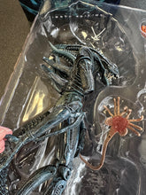 Load image into Gallery viewer, NECA ALIENS ULTIMATE EDITION BLUE FIGURE PREOWNED INCOMPLETE BROKEN ARM
