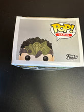 Load image into Gallery viewer, FUNKO POP MONSTER HUNTER HUNTER 296 BOX DAMAGE
