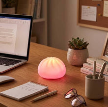 Load image into Gallery viewer, Pookie Mood Dumpling LED Light – Soft Squishy Mood Lamp
