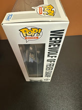 Load image into Gallery viewer, FUNKO POP BOOKS GOOSEBUMPS WEREWOLF OF FEVER SWAMP 34
