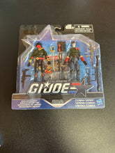 Load image into Gallery viewer, Hasbro G. I. Joe Sinister Allies Iron Grenadier &amp; Cobra Viper Figures
