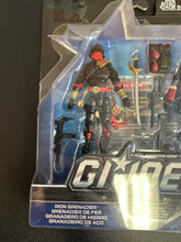 Load image into Gallery viewer, Hasbro G. I. Joe Sinister Allies Iron Grenadier &amp; Cobra Viper Figures
