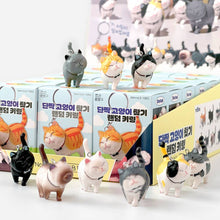 Load image into Gallery viewer, Best Friend Cat Figure Collectable Keyring Random Box
