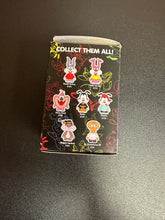 Load image into Gallery viewer, Kidrobot Tiny Toon Adventures Animaniacs Vinyl Mini (1) Mystery Figure
