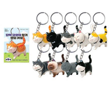 Load image into Gallery viewer, Best Friend Cat Figure Collectable Keyring Random Box

