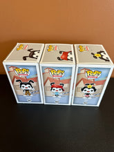 Load image into Gallery viewer, FUNKO POP ANIMANIACS YAKKO, WAKKO, DOT SET OF 3 BOX DAMAGE
