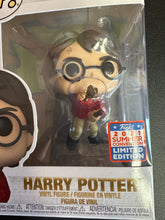 Load image into Gallery viewer, FUNKO POP HARRY POTTER 2021 SUMMER 131
