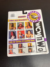 Load image into Gallery viewer, WCW Talking Portrait The Giant Series #1 Non Talking
