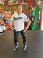 Load image into Gallery viewer, Mattel WWE Elite Series 50 Shane McMahon (no accesories)
