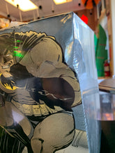 Load image into Gallery viewer, DC Batman: The Dark Knight Returns Book &amp; Mask Set
