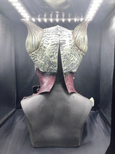 Load image into Gallery viewer, Oktober Studios DeathKeeper Mask
