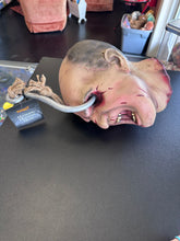 Load image into Gallery viewer, Spirit Hanging Hooked Foam Head Halloween Decor
