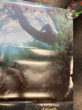 Load image into Gallery viewer, Gorillas in The Mist The Adventure of Dani Fossey Folded One Sided Poster
