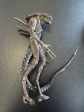 Load image into Gallery viewer, NECA Aliens Xenomorph Warrior (BROWN Version)
