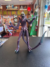 Load image into Gallery viewer, NECA Alien VS Predator Razor Claws Alien Xenomorph
