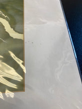 Load image into Gallery viewer, DISNEY PARKS Evil Character Print Maleficent
