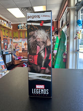 Load image into Gallery viewer, HASBRO Marvel Legends Series Deadpool &amp; Dogpool
