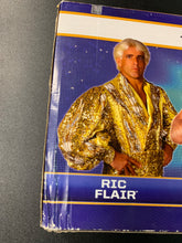 Load image into Gallery viewer, MATTEL WWE FOUR HORSEMAN HALL OF FAME CLASS OF 2012 BOX DAMAGE
