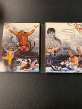 Load image into Gallery viewer, WWE THE SHAWN MICHAELS STORY HEARTBREAK &amp; TRIUMPH 3 DISC SET PREOWNED

